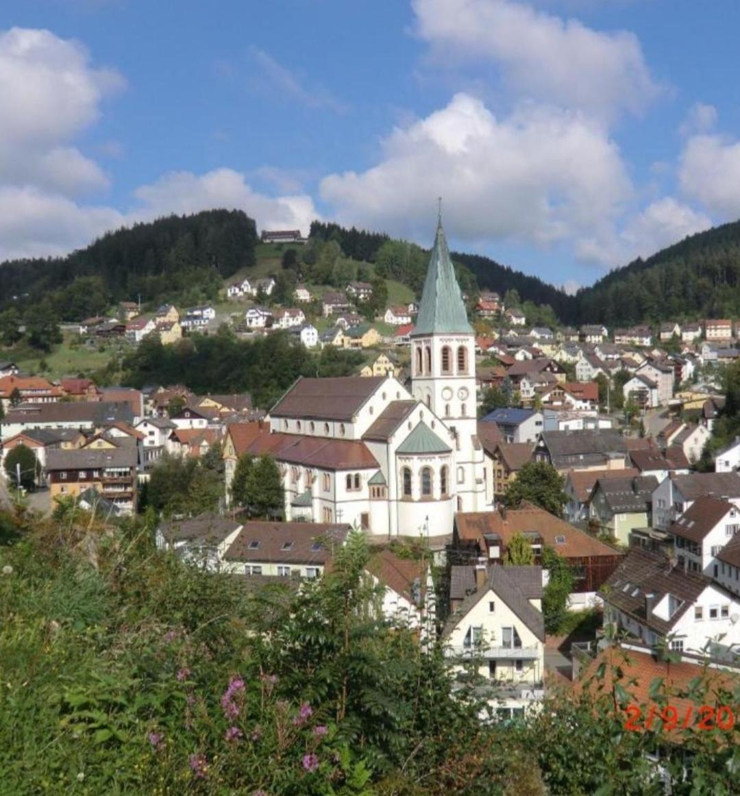 Ferienwohnung Haus Wander-Lust Lauterbach  Exterior foto